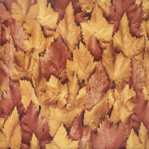 Samolepící tapeta fólie listy podzimní šířka 45cm