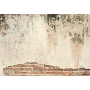 Fototapeta, Tapeta Grunge Wall, (254 x 184 cm)