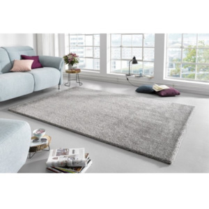 Mint Rugs - Hanse Home koberce Kusový koberec Glam 103014 Silver - 60x110