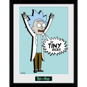 Obraz na zeď - Rick and Morty - Tiny Rick