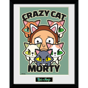 Obraz na zeď - Rick and Morty - Crazy Cat Morty