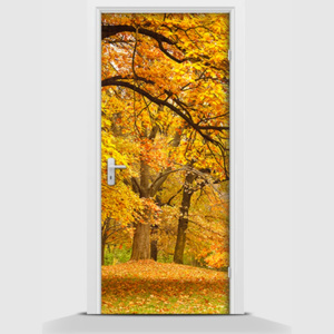 Samolepící fototapeta - Stromy podzimu 95 x 210cm