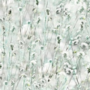 Samolepící tapeta folie d-c-fix květy bílé - šíře 45cm - dekor 230