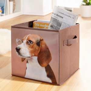 Skládací úložný box Beagle