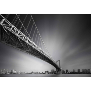 Fototapeta, Tapeta Bridge At Sumida River, (254 x 184 cm)