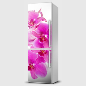 Fototapeta samolepící na lednice - Orchidej růžová
