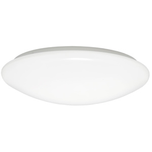 Ecolite LED stropní/nástěnné svítidlo 12W Barva světla: Teplá bílá