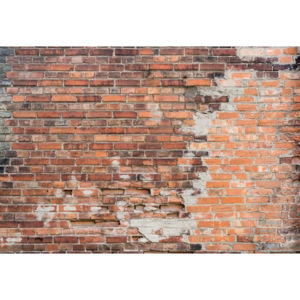 Fototapeta, Tapeta Grunge Brick Wall, (416 x 290 cm)