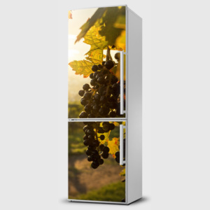 Fototapeta samolepící na lednice - Hroznové víno