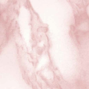 Samolepící tapety mramor Carrara růžová šíře 45cm x 15m - dekor 761