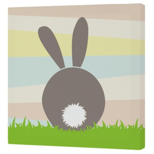 Obraz Little W Little Rabbit, 27 x 27 cm