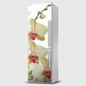 Fototapeta samolepící na lednice - Orchidei bílá