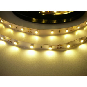 T-LED LED pásek 4,8W/m 12V bez krytí IP20 Economy Barva světla: Teplá bílá