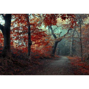Fototapeta, Tapeta The Red Forest, (254 x 184 cm)