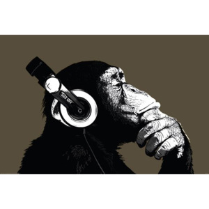 Plakát - The Chimp (Stereo)
