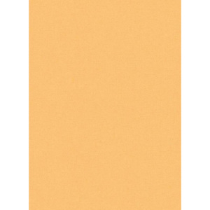 Tapeta na zeď papírová Lotta - jednobarevná oranžová