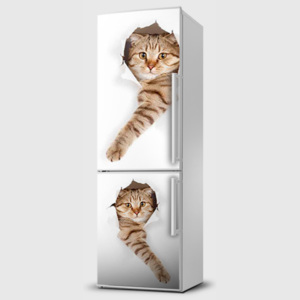 Fototapeta samolepící na lednice - Kočky