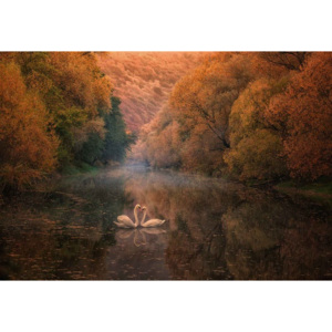 Fototapeta, Tapeta Romantic River, (254 x 184 cm)