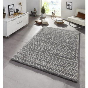 Mint Rugs - Hanse Home koberce Kusový koberec Chloe 102804 grau - 80x150