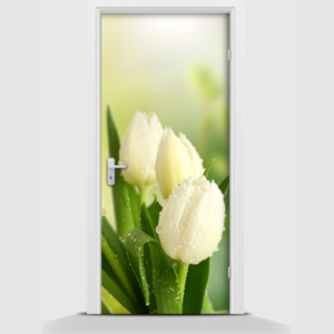 Samolepící fototapeta - Tulipány bílé 95 x 210cm