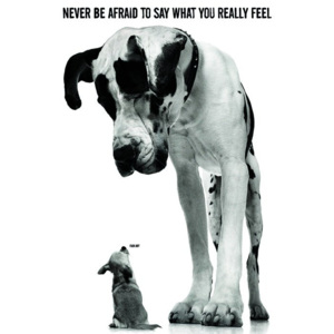 Plakát - Never be afraid to say