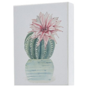 Obraz Kaktus Rebucie, 13 x 18 cm