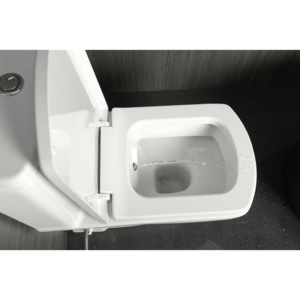 SAPHO BASIC wc mísa kombi s integrovanou bidetovou sprškou, spodní/zadní odpad ( 71122340 )