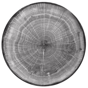 Woodart talíř mělký 29 cm, šedý