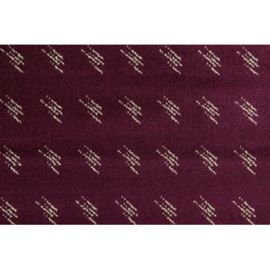 Moderní kusový koberec Lotus 03538-40322 200x300 cm fialový