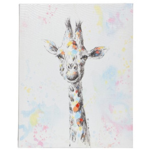 Obraz Colours Giraffe, 40 x 50 cm