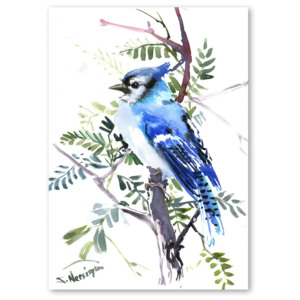 Autorský plakát Blue Jay od Surena Nersisyana, 42 x 30 cm