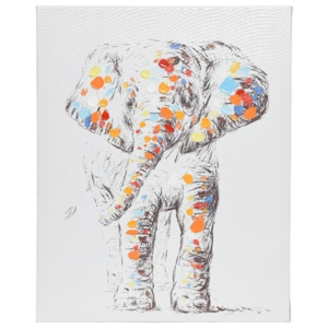 Obraz Colours Elephant , 40 x 50 cm