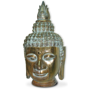 Dekorativní busta Moycor Budha