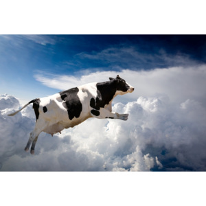 Plakát Letící kráva (Velikost: 10 x 4 cm)