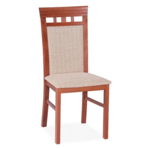 Elegantní Jídelní Židle KT 21