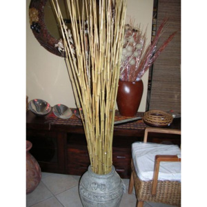 Dekorační bambus S
