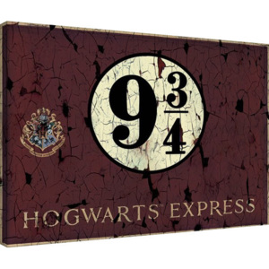 Obraz na plátně Harry Potter - Hogwart's Express, (60 x 80 cm)