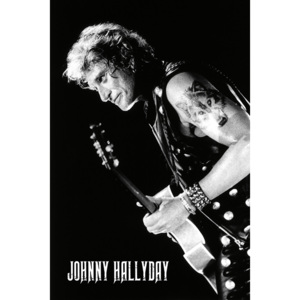 Plakát, Obraz - Johnny Hallyday - Lone Wolf, (61 x 91,5 cm)