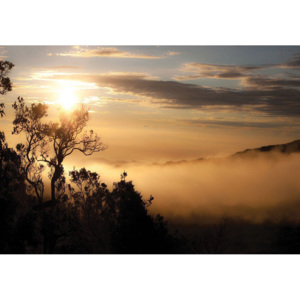 C10137P4 Fototapeta: Východ slunce nad mlžným lesem - 184x254 cm