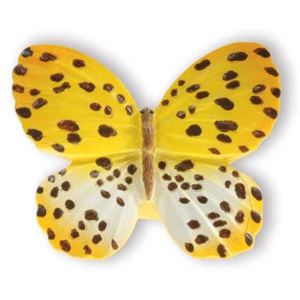 Úchytka Siro Motýl žlutý