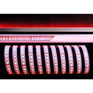 IMPR 840218 Flexibilní LED pásek 5050 96 24V RGB+4200K 5m silikon - LIGHT IMPRESSIONS