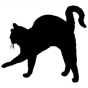 Samolepka na auto - Kočka (Rozměr: 15cm)