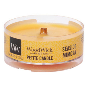WoodWick – Petite Candle vonná svíčka Mimóza na pobřeží 31 g
