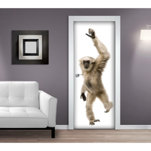 Živá dekorace Dveře - Opice (Rozměr: 92x210 cm)