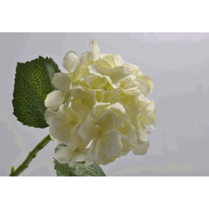 Umělá květina Silk-ka Hortenzie krémová 38cm
