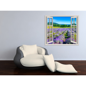 Živá dekorace Okno - Levandulové pole (Rozměr: 70x62 cm)