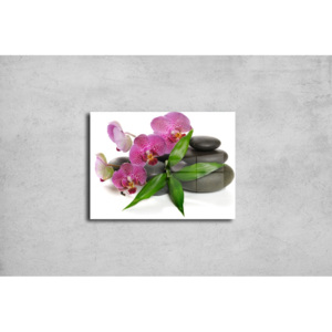 Skleněný obraz - Růžová orchidea na kamenech (Typ: bez vyvrtaných děr)