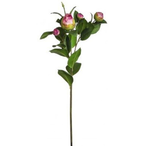 Umělá květina Sia Home Fashion Kamélie 56cm