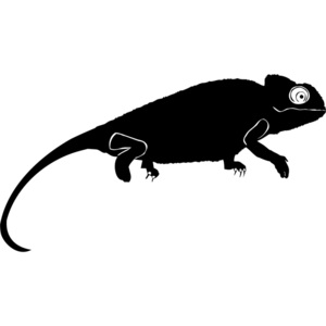 Samolepka na auto - Chameleón 2 (Rozměr: 15cm)