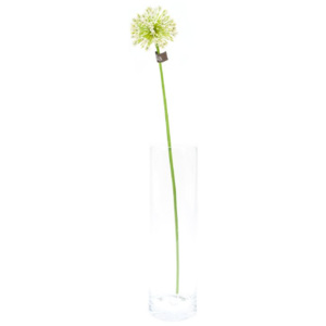 Umělá květina Sia Home Fashion Česnek okrasný sv. zelený 88cm